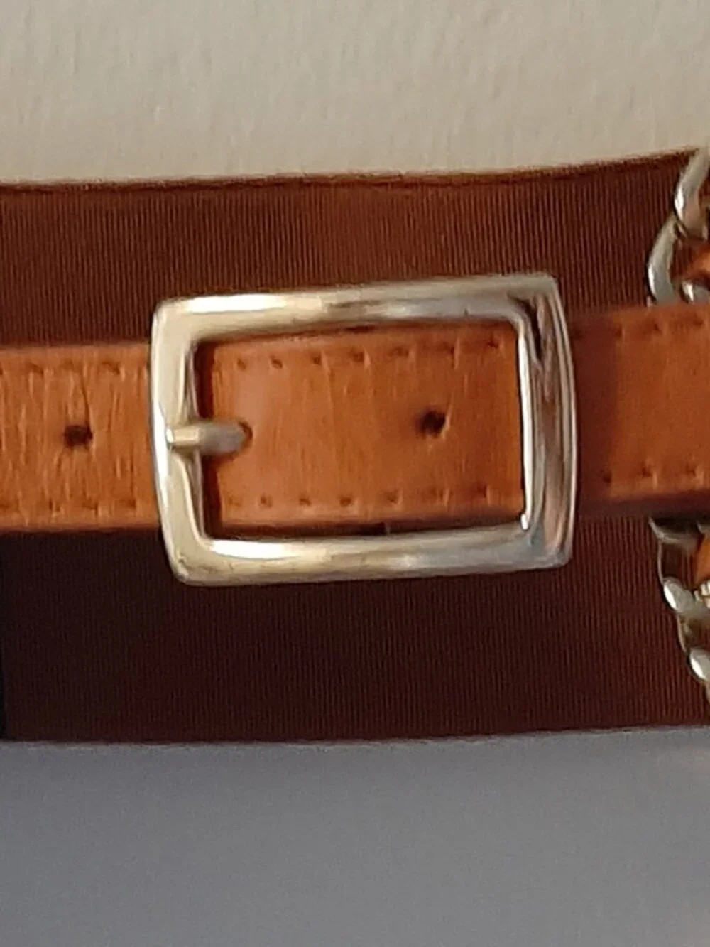 Guess by Marciano exquisite designer